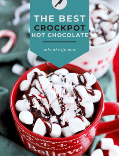 The Best Crockpot Hot Chocolate Pinterest Picture