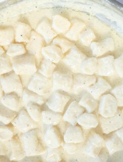 Close-up of gnocchi di ricotta pasta coated in a creamy white sauce with visible black pepper specks.