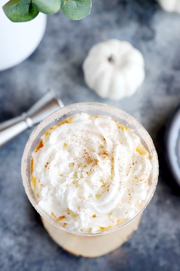 Pumpkin pie picture martini glass