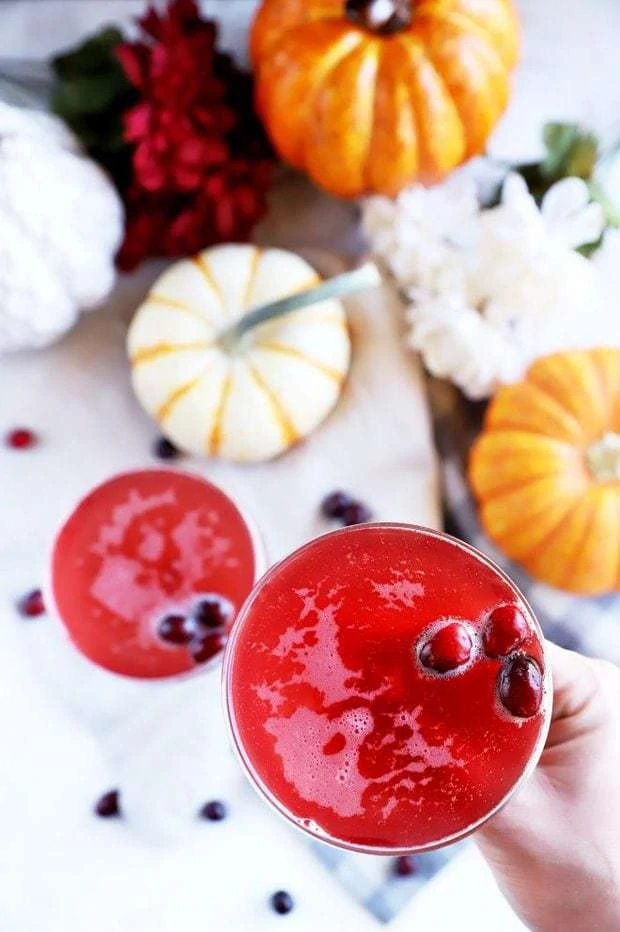 Hand holding cocktail with cranberries image