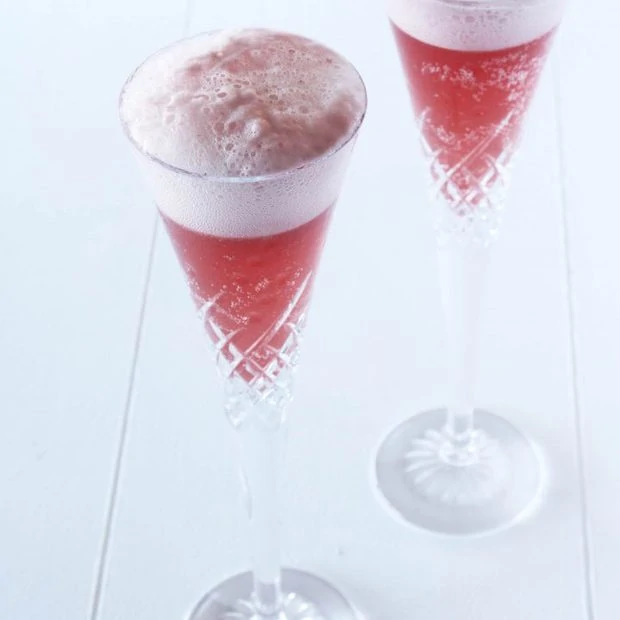 Raspberry Sorbet & Champagne