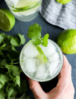 hand holding a cocktail with cilantro and lime