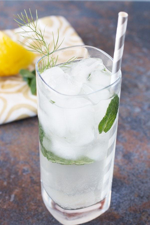 Fennel Lemon Vodka Fizz | cakenknife.com