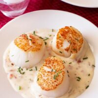 Pan Seared Scallops with Bacon Cream Sauce
