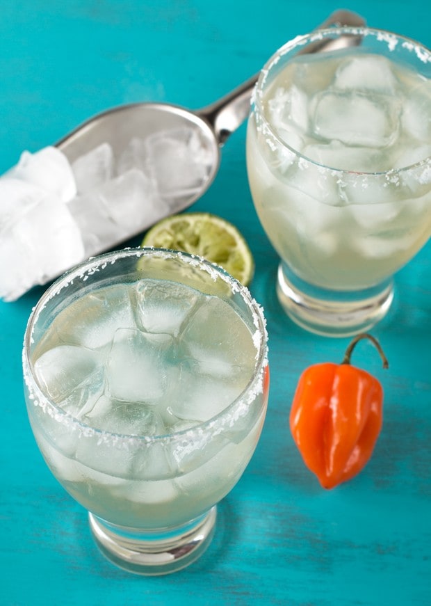 Habanero Margarita | cakenknife.com