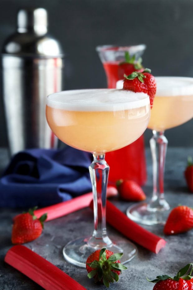 fresh strawberries and rhubarb with gin fizz cocktail