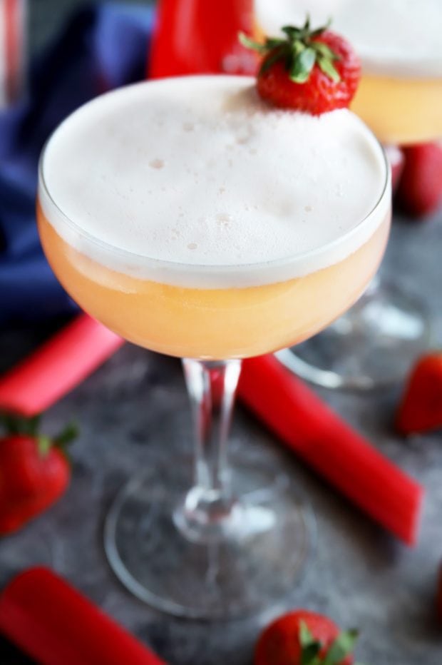 Strawberry Rhubarb Gin Fizz Cocktail