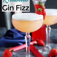 Strawberry Rhubarb Gin Fizz Cocktail