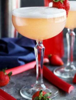 Strawberry Rhubarb Gin Fizz Cocktail