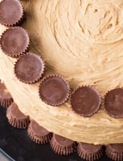 Peanut Butter Cup Overload Cake Recipe | cakenknife.com