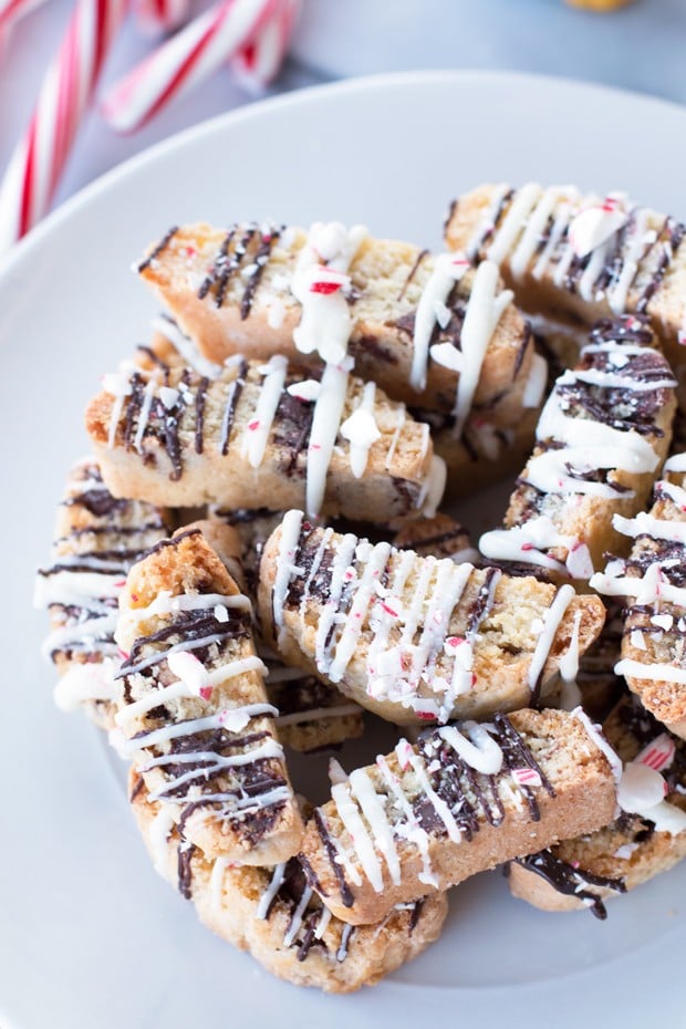 Peppermint Chocolate Chip Biscotti | cakenknife.com