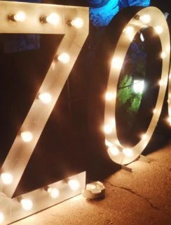 Do At The Zoo Recap | cakenknife.com
