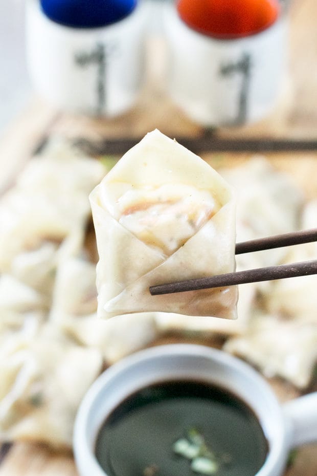 Steamed Vegetable Wontons | cakenknife.com