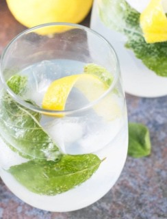 Lemon Basil Gin & Tonic | cakenknife.com