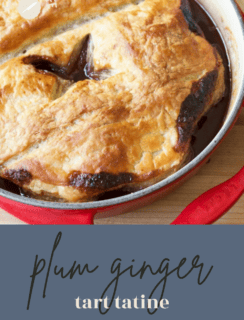 Plum Ginger Tart Satin Pinterest Photo