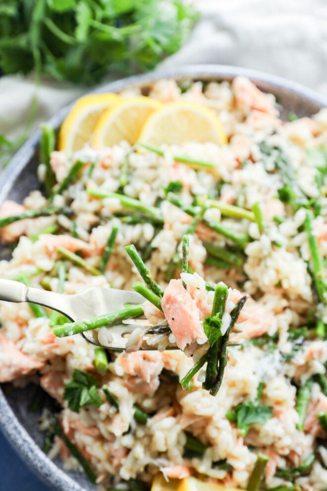 A close-up of a fork holding a bite of creamy Salmon Lemon Risotto with Asparagus, with pieces of salmon, asparagus, and fresh herbs over a bowl. Slices of lemon are visible in the background.