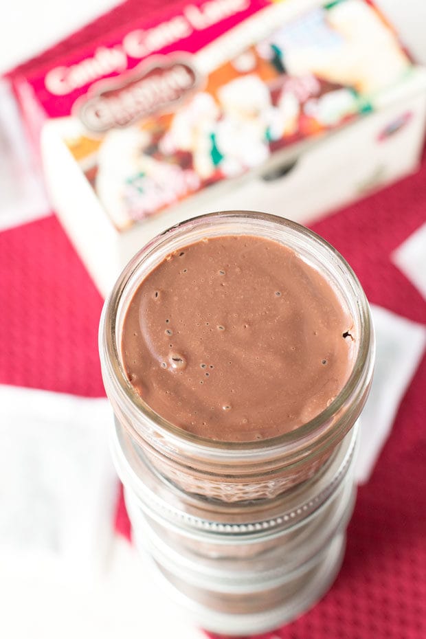 Chocolate Peppermint Pots de Creme | cakenknife.com