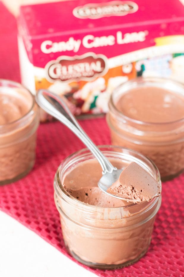 Chocolate Peppermint Pots de Creme | cakenknife.com