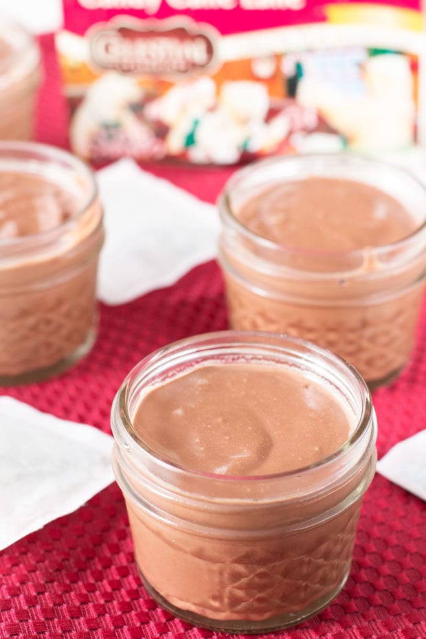 Chocolate Peppermint Pots de Creme | cakenknife.com