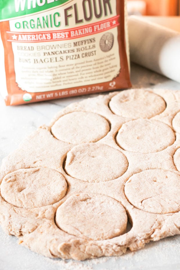 Green Chile Cheddar Whole Wheat Biscuits | cakenknife.com