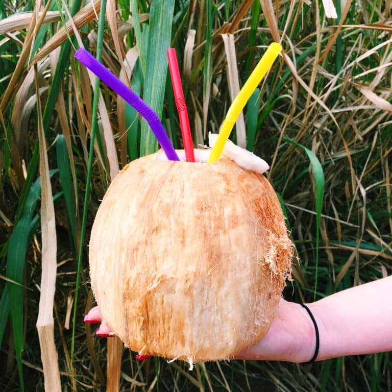 48 Hour Foodie Guide: Kauai | cakenknife.com #travel #hawaii #food #drink #tropical