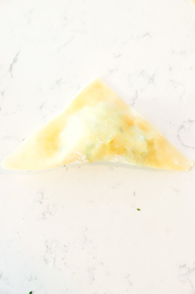Picture of a folded wonton
