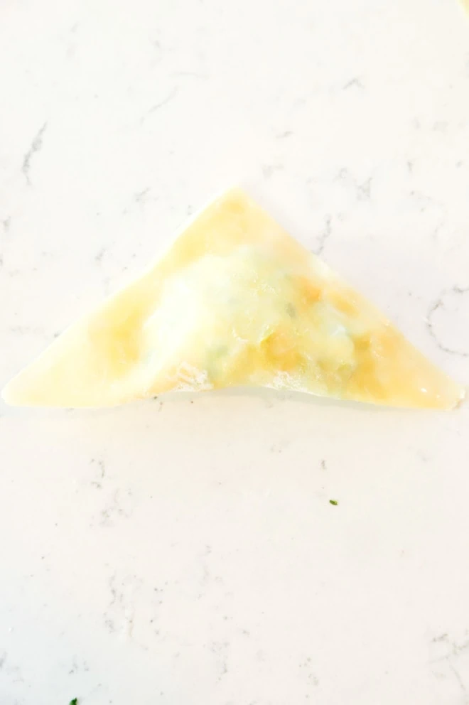 Picture of a folded wonton