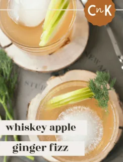 Whiskey Apple Ginger Fizz Pinterest Photo