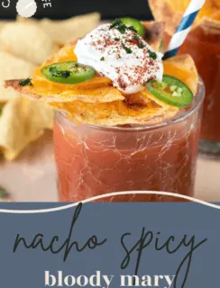 Nacho Spicy Bloody Mary Pinterest Picture