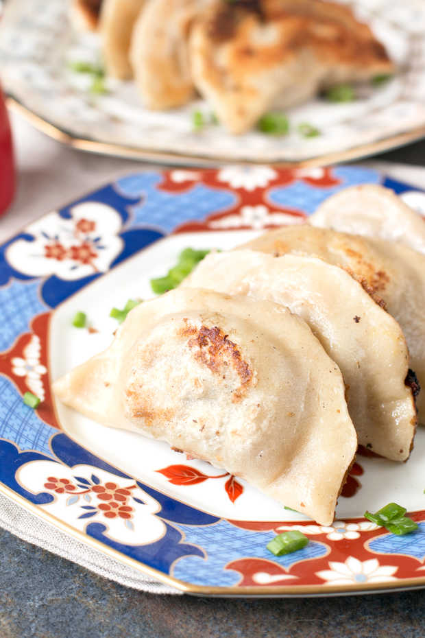 Cookbook Review The Dumpling Galaxy Cookbook + Spicy Beef Dumplings