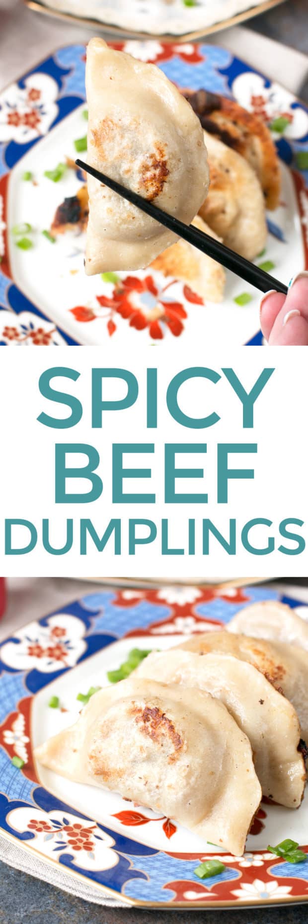 Spicy Beef Dumplings + cookbook review of The Dumpling Galaxy Cookbook | cakenknife.com #dumplings #recipe #asian