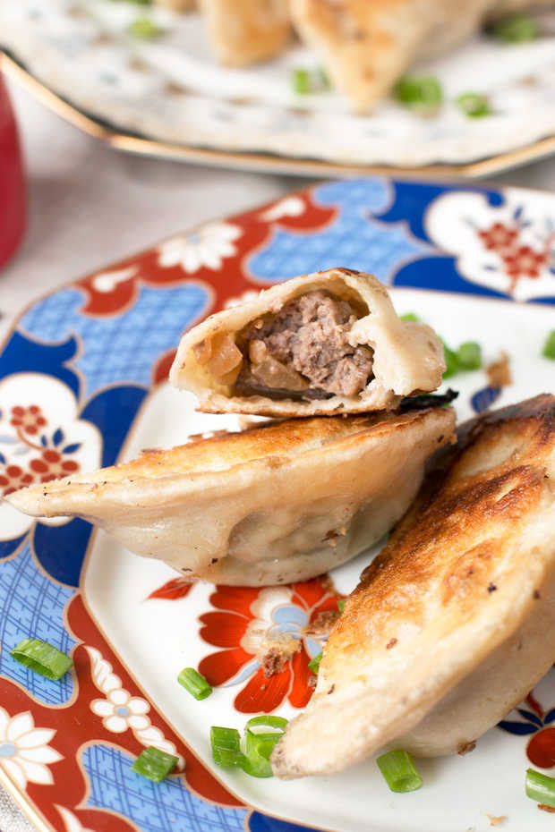 Cookbook Review The Dumpling Galaxy Cookbook + Spicy Beef Dumplings