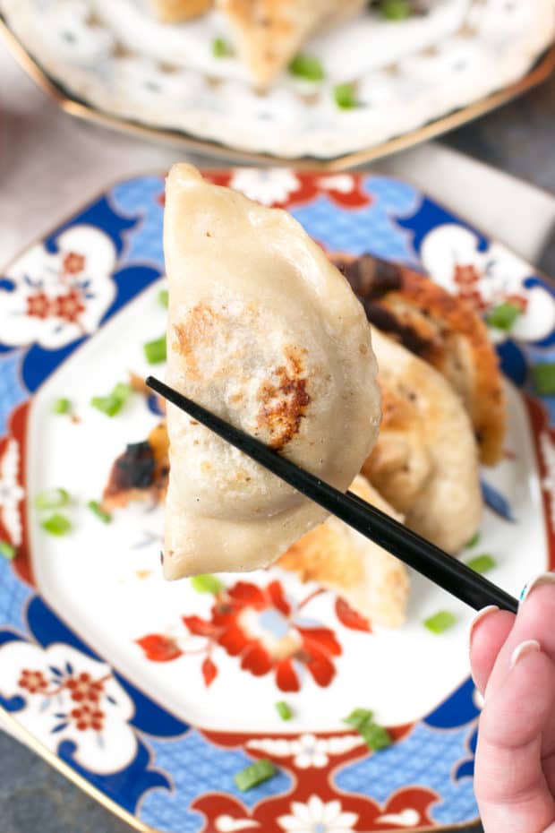 Spicy Beef Dumplings + cookbook review of The Dumpling Galaxy Cookbook | cakenknife.com #dumplings #recipe #asian