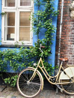 48 Hour Foodie Guide to Copenhagen | cakenknife.com #travel #travelguide #foodguide #wanderlust