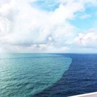 Foodie Guide to the Carnival Vista