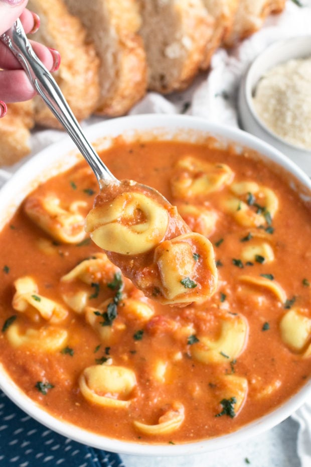 Curry Tomato Tortellini Soup