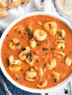 Curry Tomato Tortellini Soup