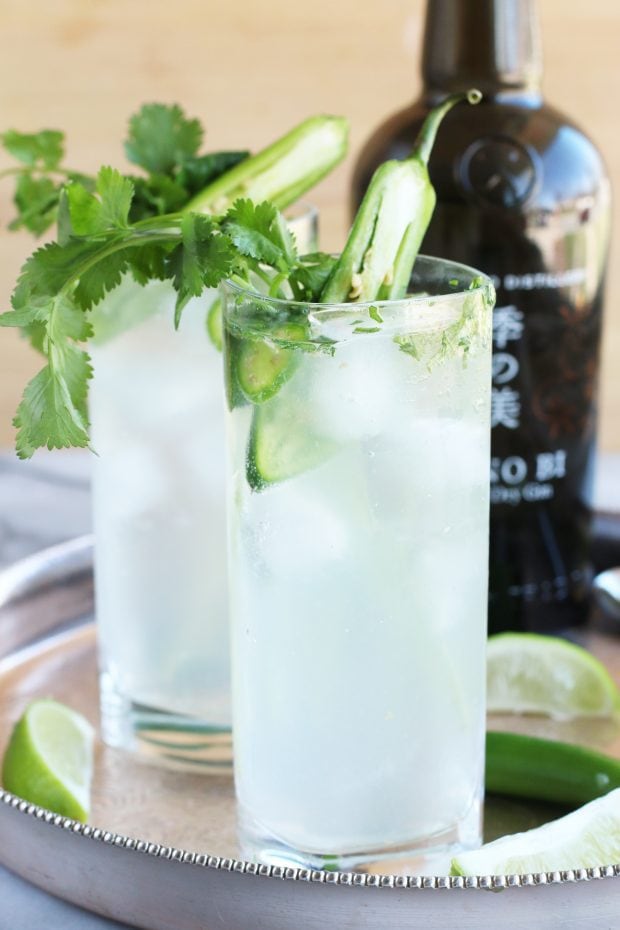 Serrano Cilantro Gin and Tonic