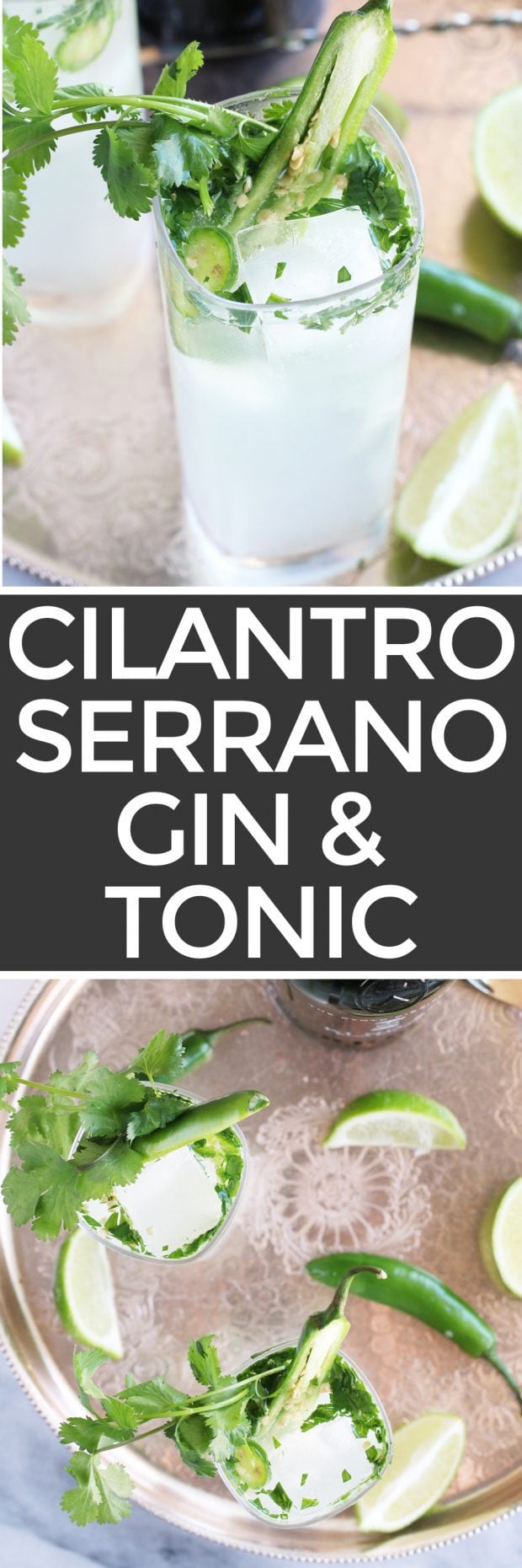 Serrano Cilantro Gin and Tonic