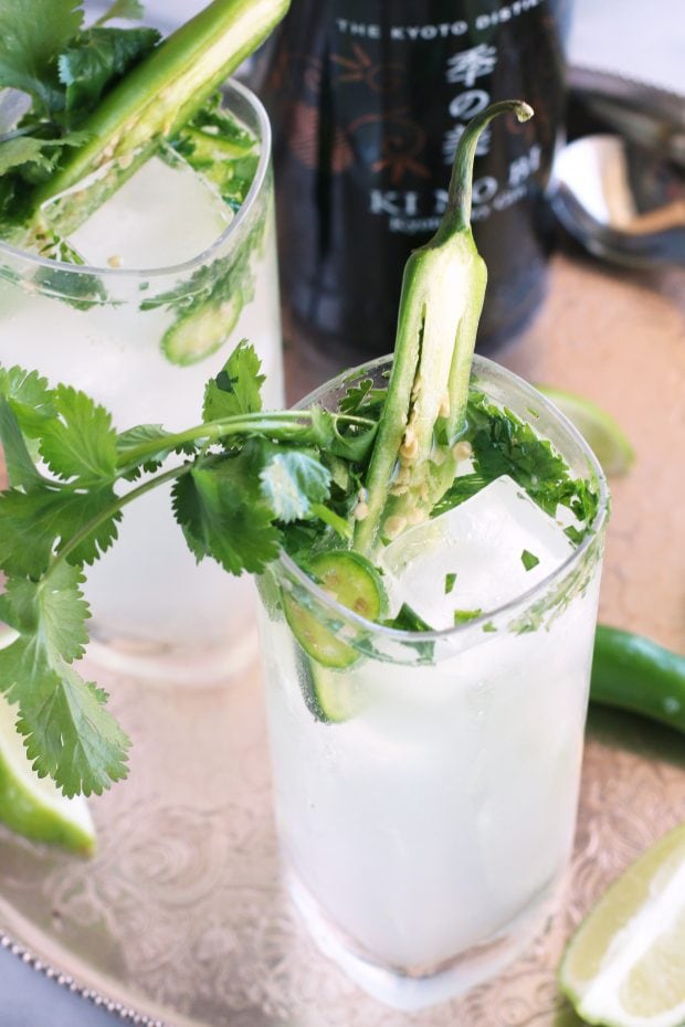 Serrano Cilantro Gin and Tonic