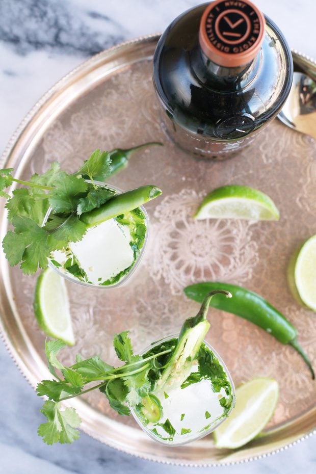 Serrano Cilantro Gin and Tonic