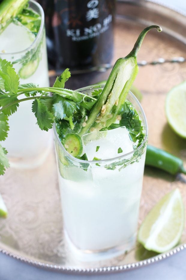 Serrano Cilantro Gin and Tonic