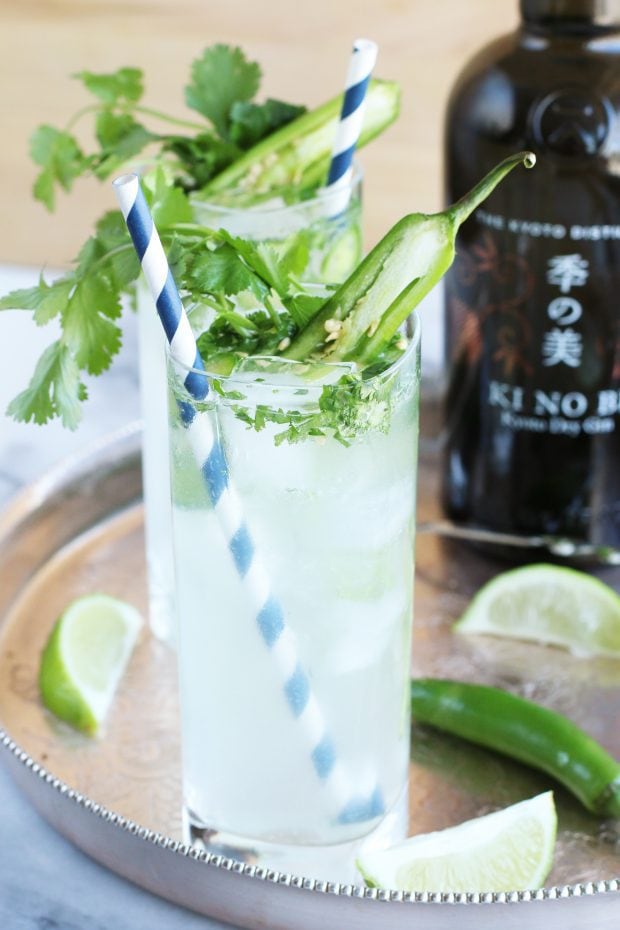 Serrano Cilantro Gin and Tonic