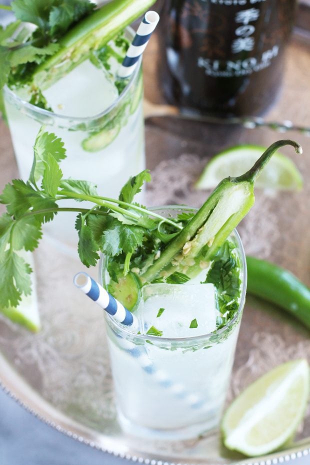 Serrano Cilantro Gin and Tonic