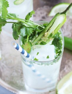 Serrano Cilantro Gin and Tonic