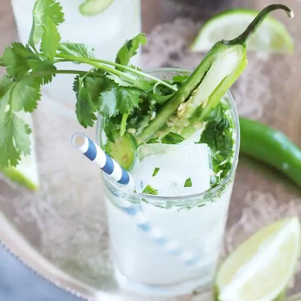 Serrano Cilantro Gin and Tonic