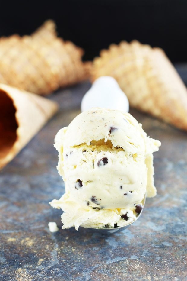 Chocolate Chip Cardamom Ice Cream in ice cream scoop