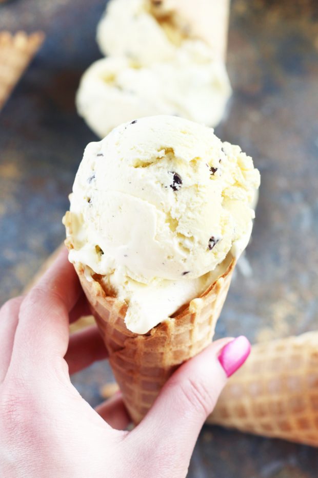 Chocolate Chip Cardamom Ice Cream close up