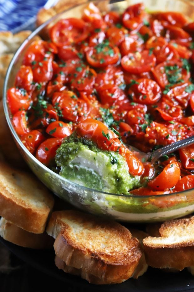 Avocado Ricotta Tomato Pesto Layer Dip