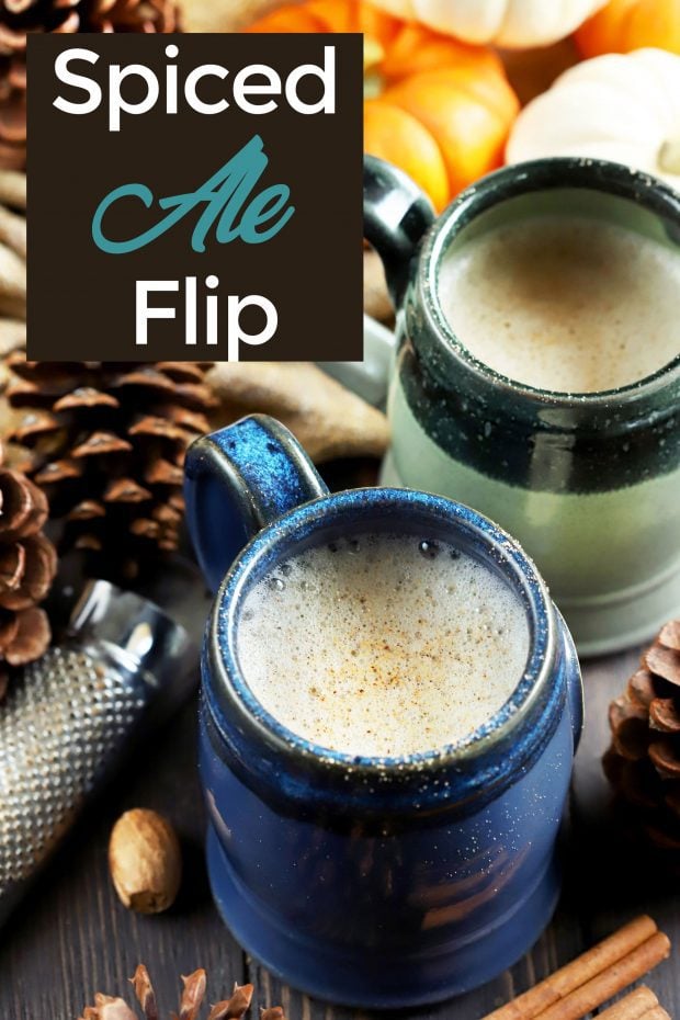 Hot Spiced Ale Flip